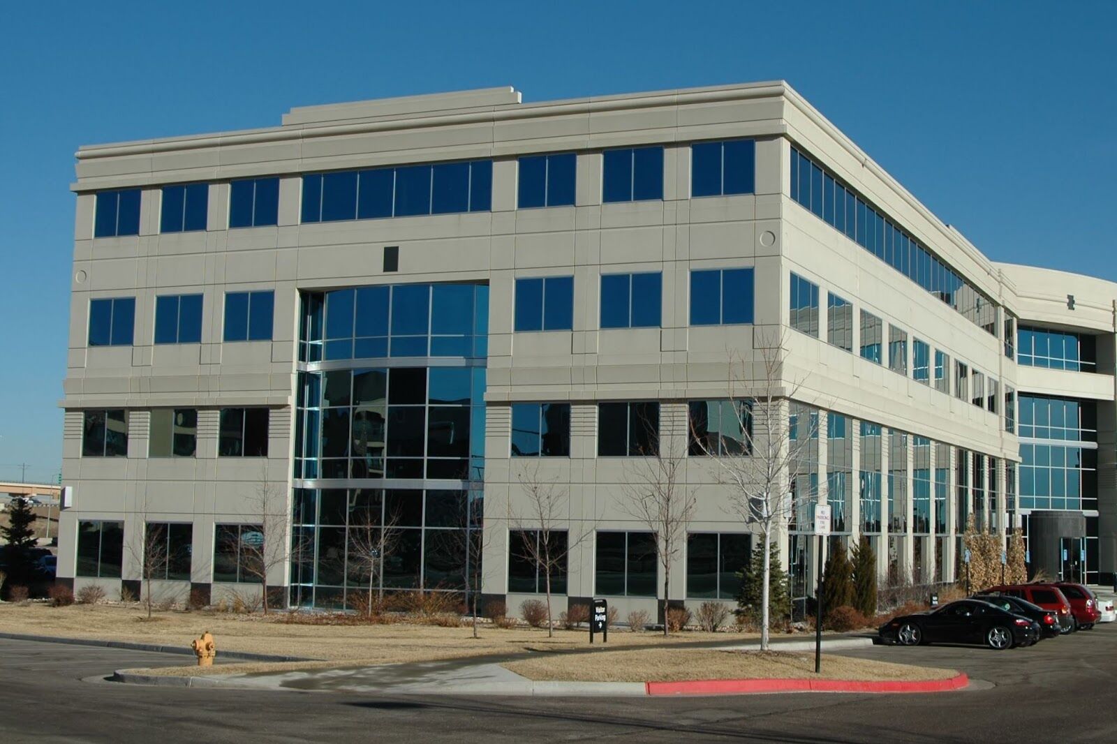 Colorado Business Entity Search