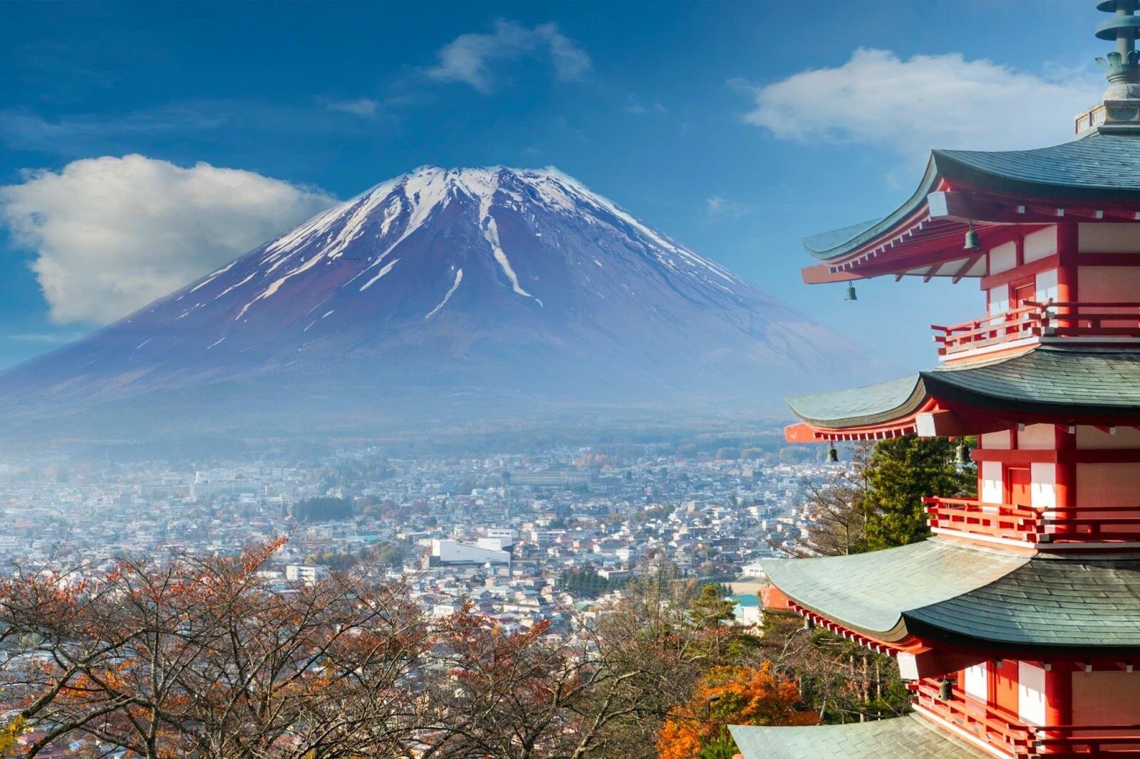 japan-corporate-compliance-penalties